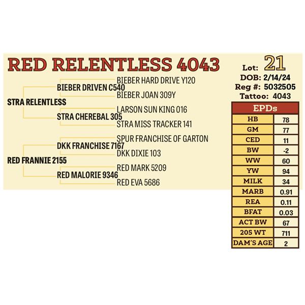 RED RELENTLESS 4043