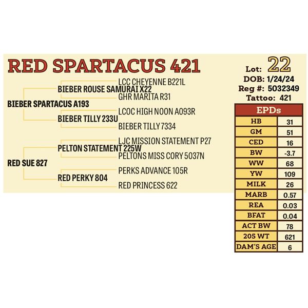 RED SPARTACUS 421