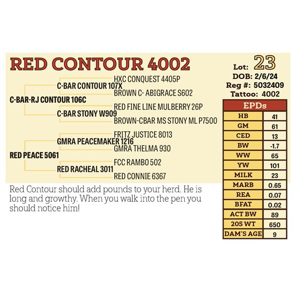 RED CONTOUR 4002