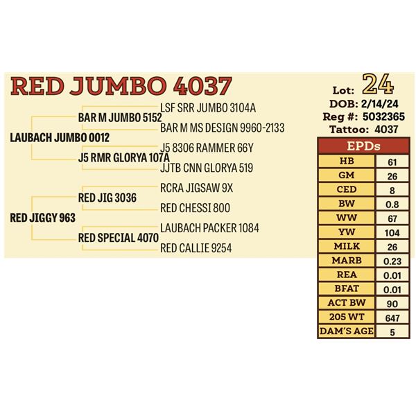 RED JUMBO 4037