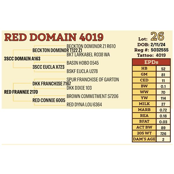 RED DOMAIN 4019