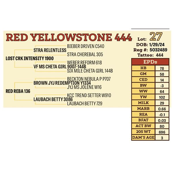 RED YELLOWSTONE 444