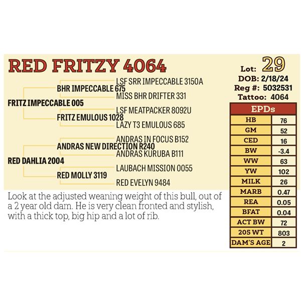 RED FRITZY 4064