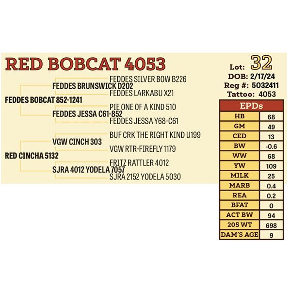 RED BOBCAT 4053