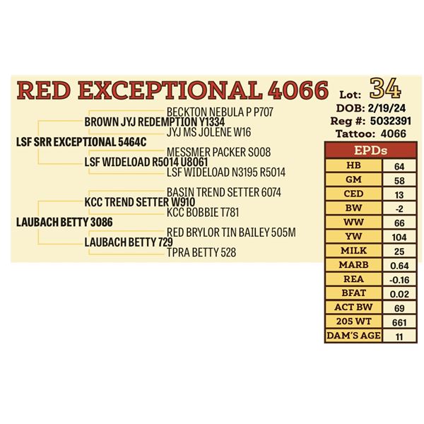 RED EXCEPTIONAL 4066