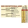Image 1 : RED EXCEPTIONAL 4066