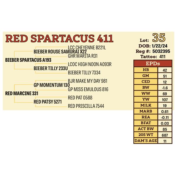 RED SPARTACUS 411