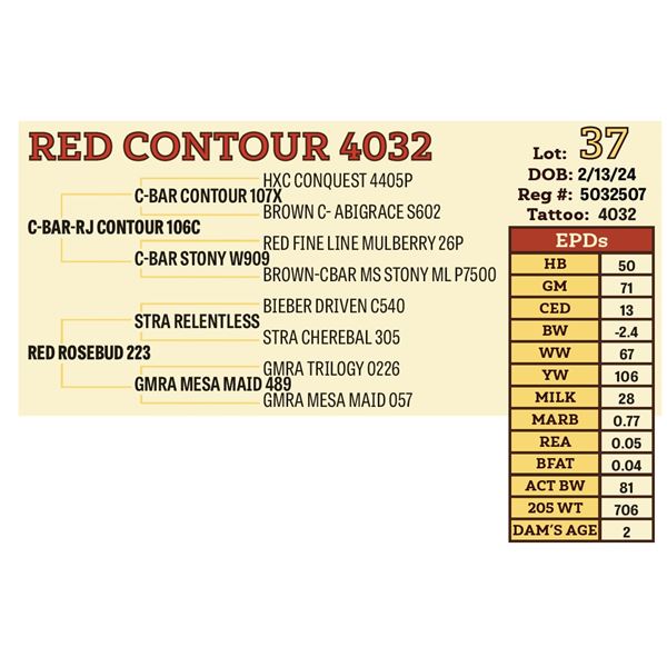 RED CONTOUR 4032