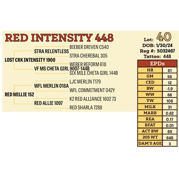 RED INTENSITY 448