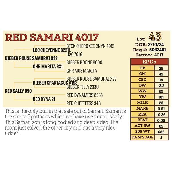 RED SAMARI 4017