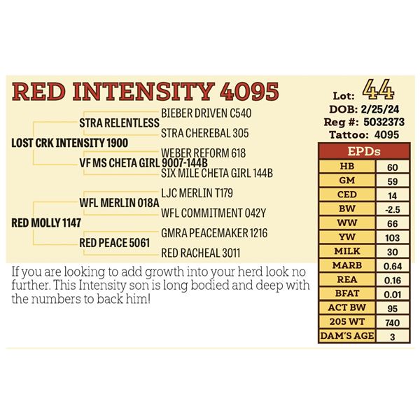 RED INTENSITY 4095