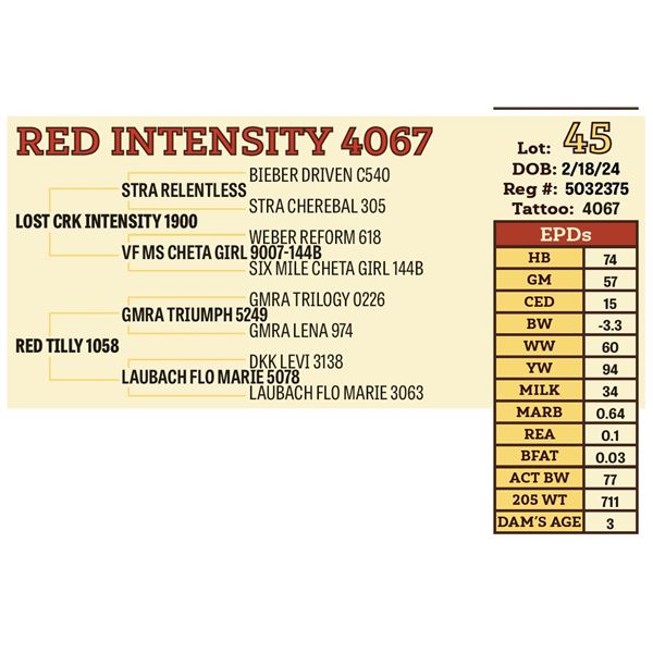 RED INTENSITY 4067