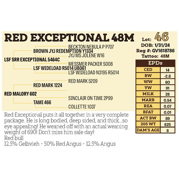 RED EXCEPTIONAL 48M