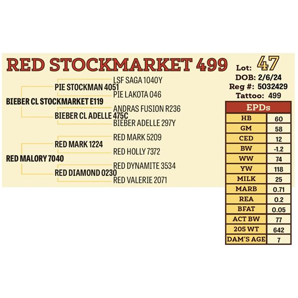 RED STOCKMARKET 499