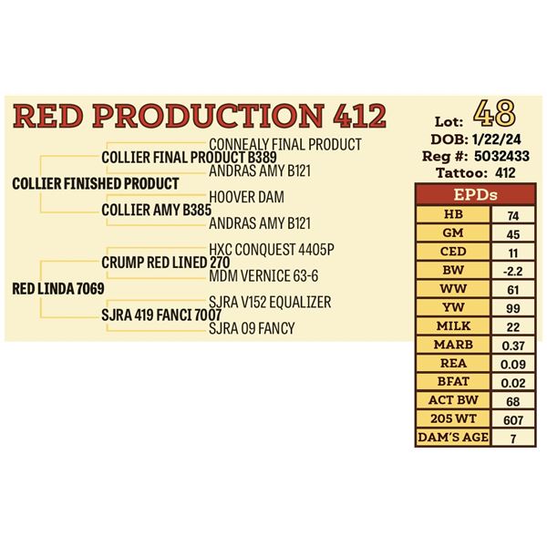 RED PRODUCTION 412