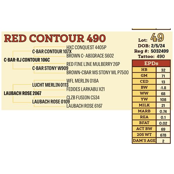 RED CONTOUR 490