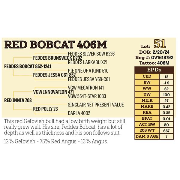 RED BOBCAT 406M