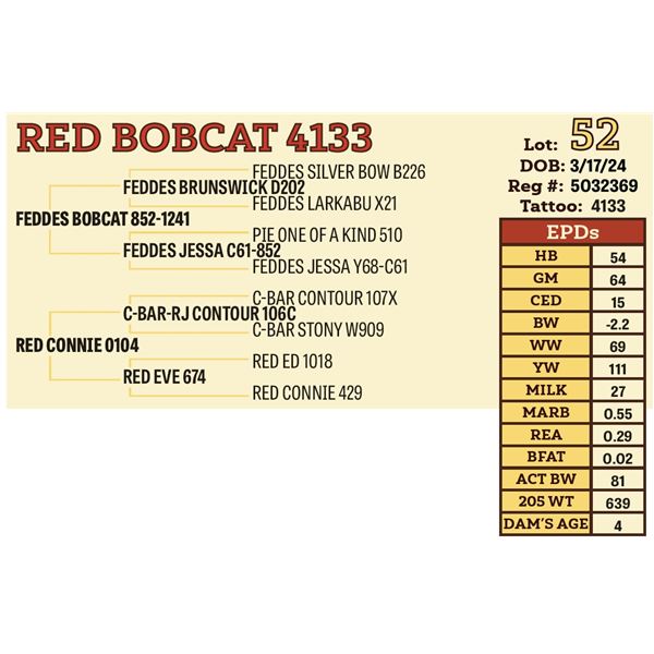 RED BOBCAT 4133