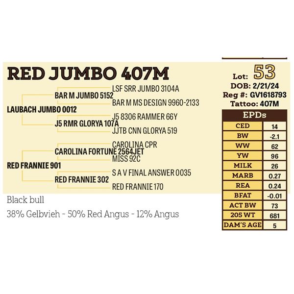 RED JUMBO 407M