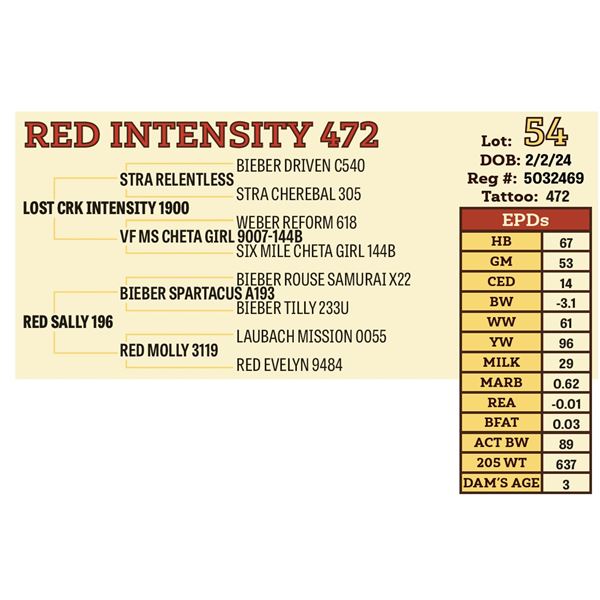 RED INTENSITY 472