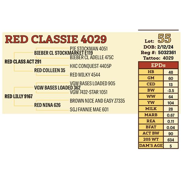 RED CLASSIE 4029