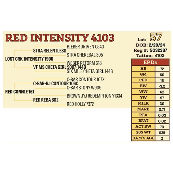 RED INTENSITY 4103