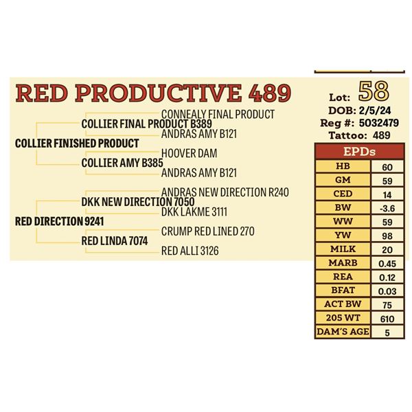 RED PRODUCTIVE 489