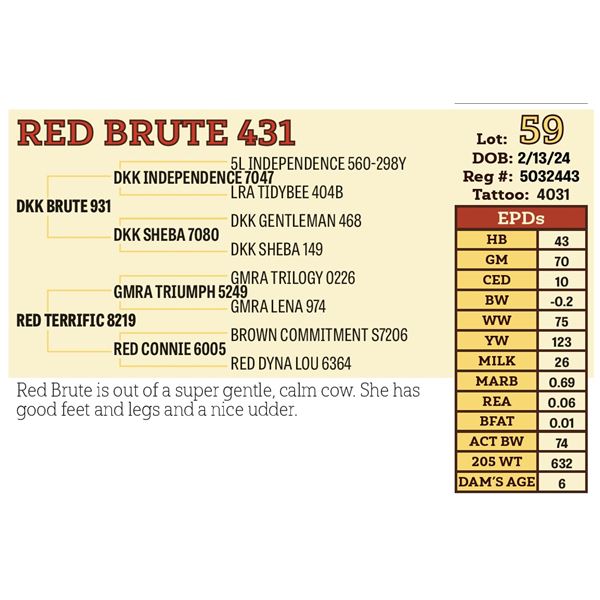 RED BRUTE 431