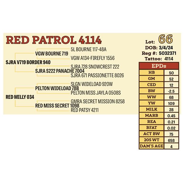 RED PATROL 4114