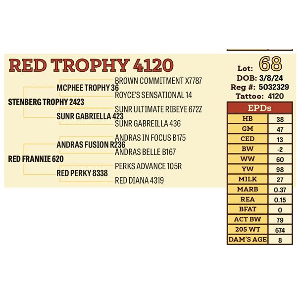 RED TROPHY 4120