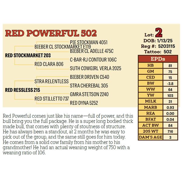 RED POWERFUL 502