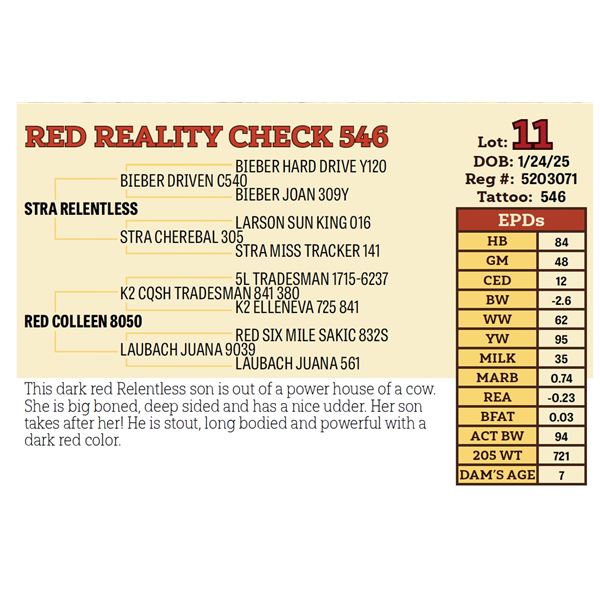 RED REALITY CHECK 546