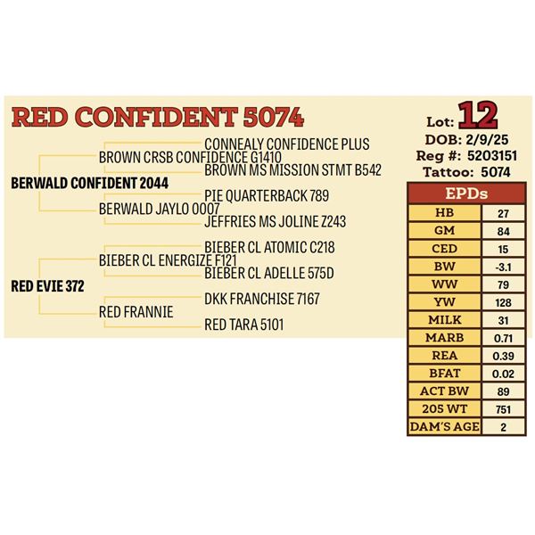 RED CONFIDENT 5074