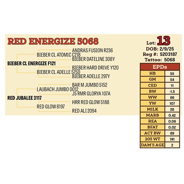RED ENERGIZE 5068