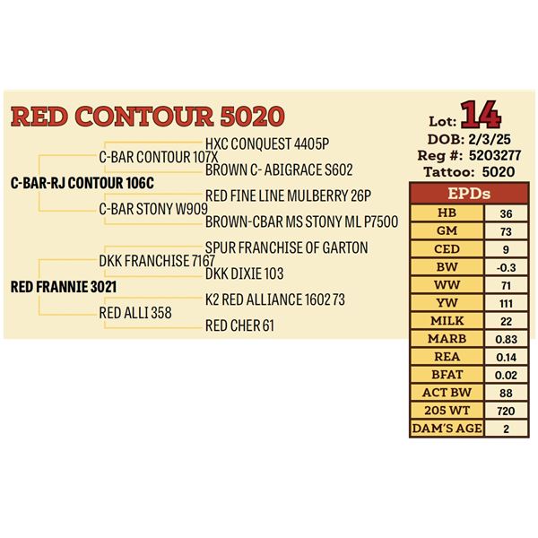 RED CONTOUR 5020