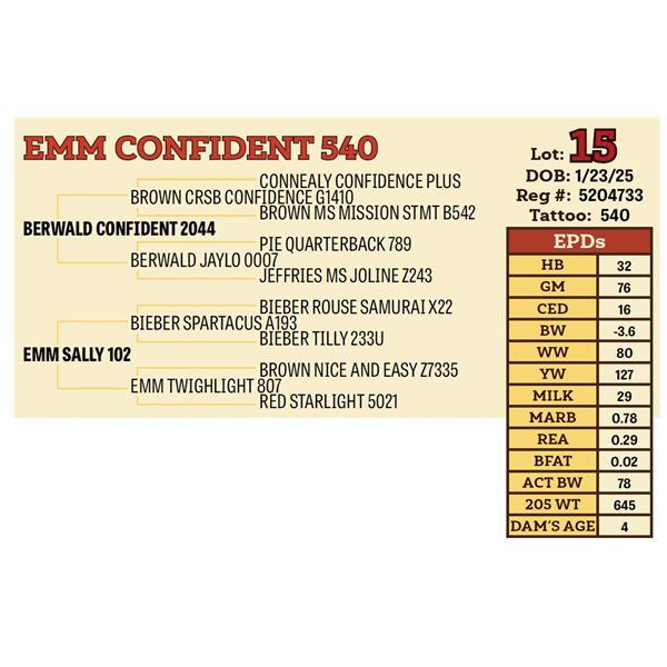 EMM CONFIDENT 540