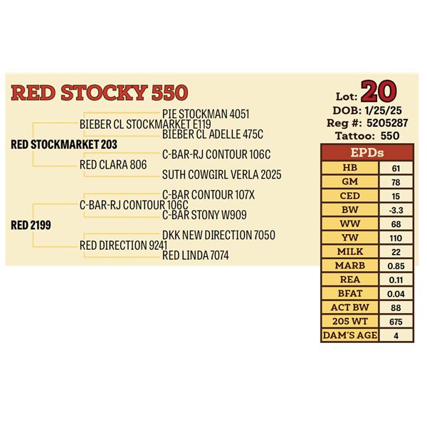 RED STOCKY 550