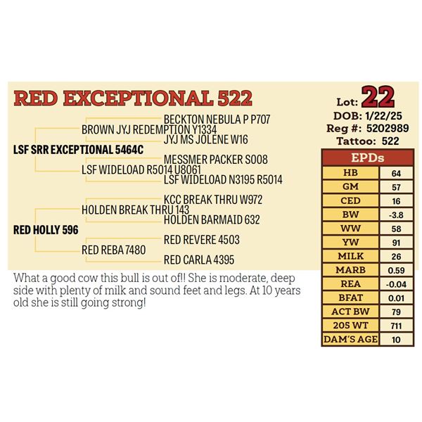 RED EXCEPTIONAL 522