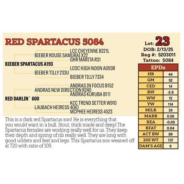 RED SPARTACUS 5084