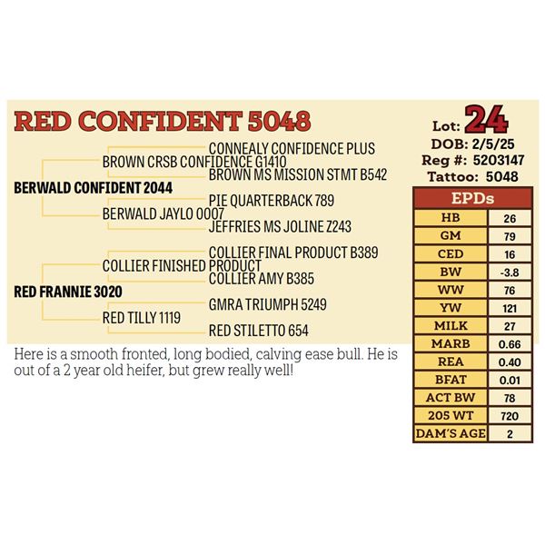 RED CONFIDENT 5048