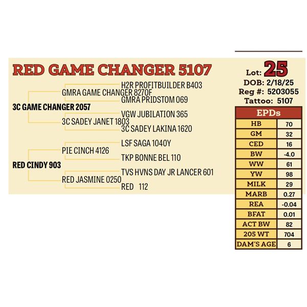 RED GAME CHANGER 5107