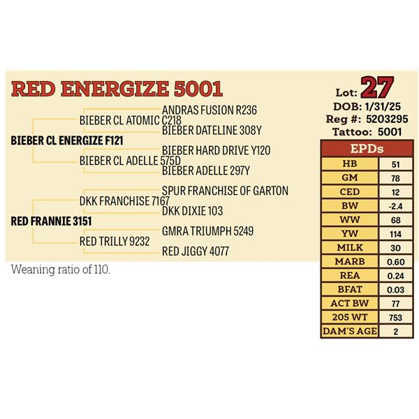RED ENERGIZE 5001