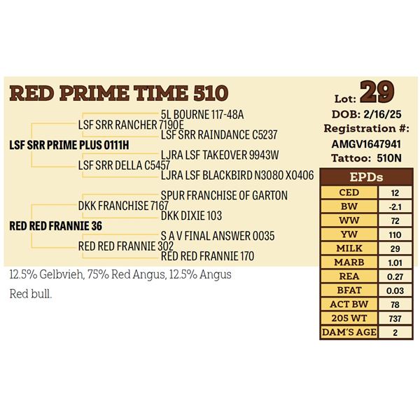 RED PRIME TIME 510