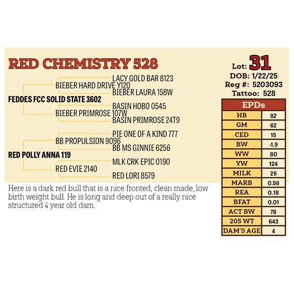 RED CHEMISTRY 528