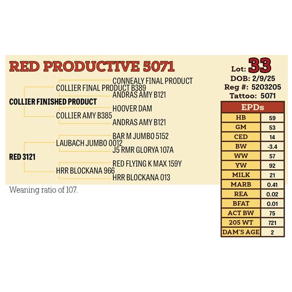 RED PRODUCTIVE 5071