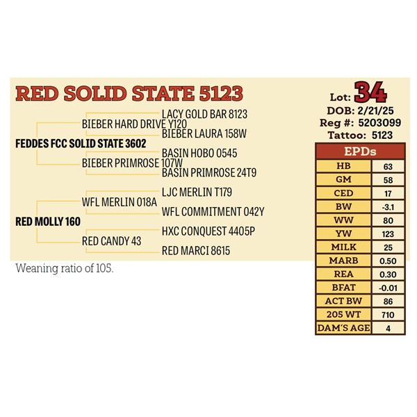RED SOLID STATE 5123