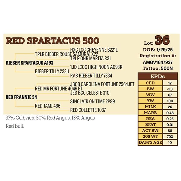 RED SPARTACUS 500