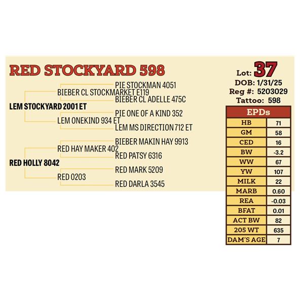 RED STOCKYARD 598