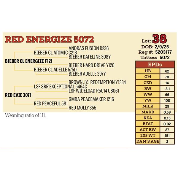 RED ENERGIZE 5072