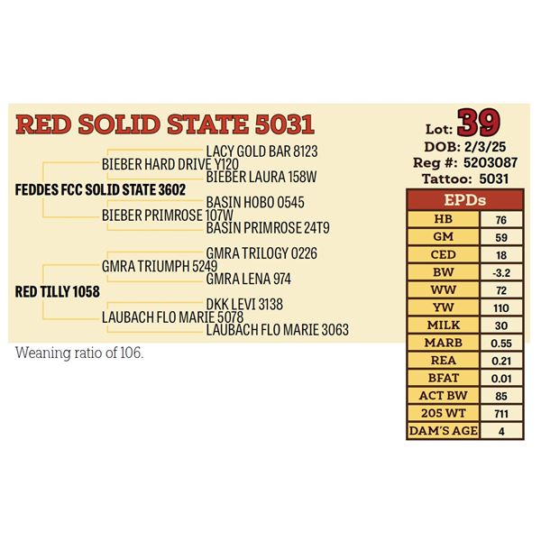 RED SOLID STATE 5031